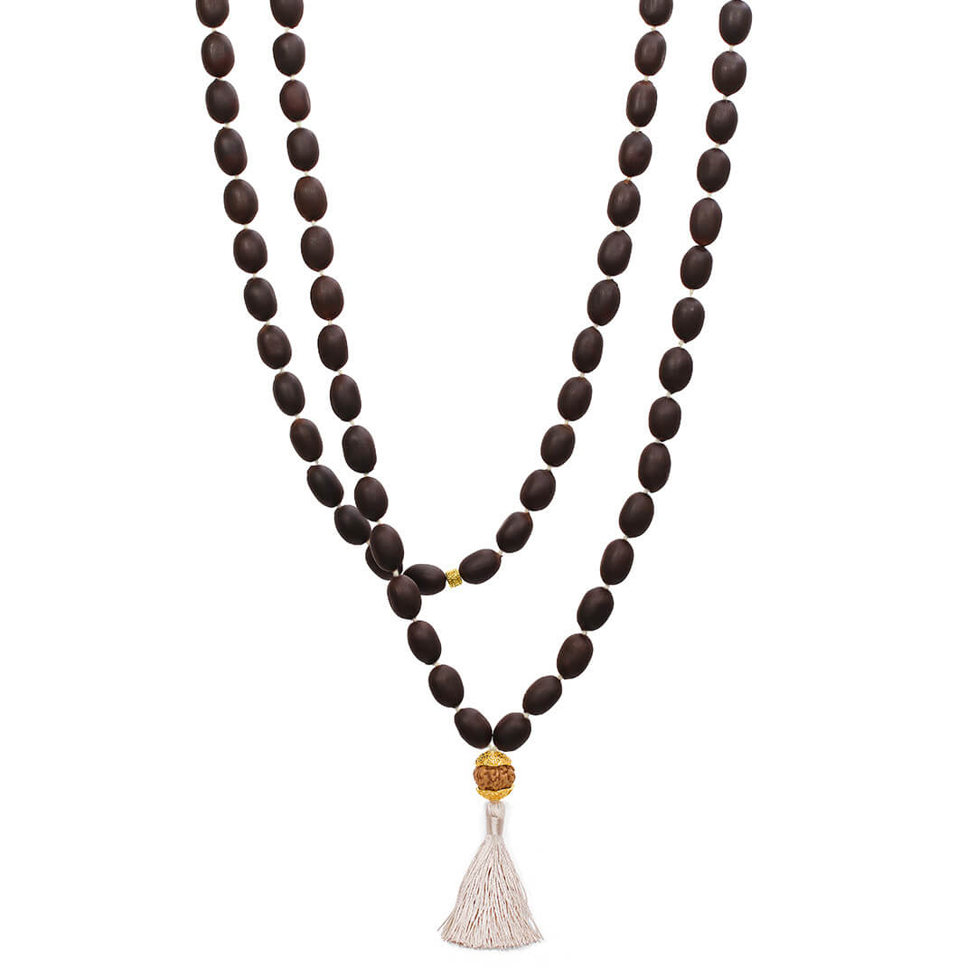 Lotus Dhyana Ash 72 (with mukhi) 1