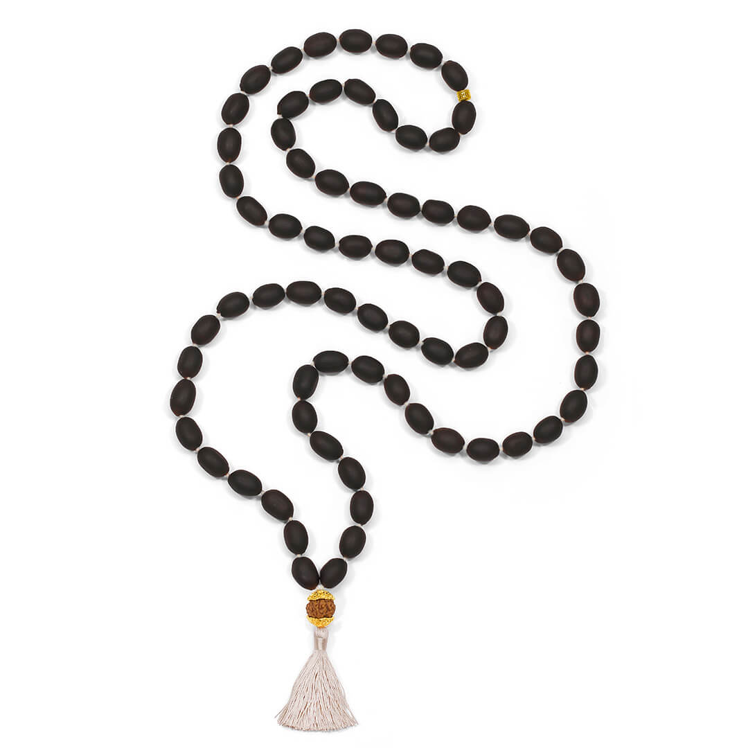 Lotus Dhyana Ash 72 (with mukhi) 2