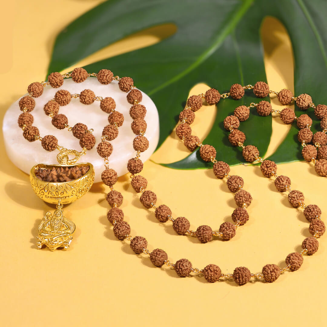 1-mukhi-rudraksha-mala-5