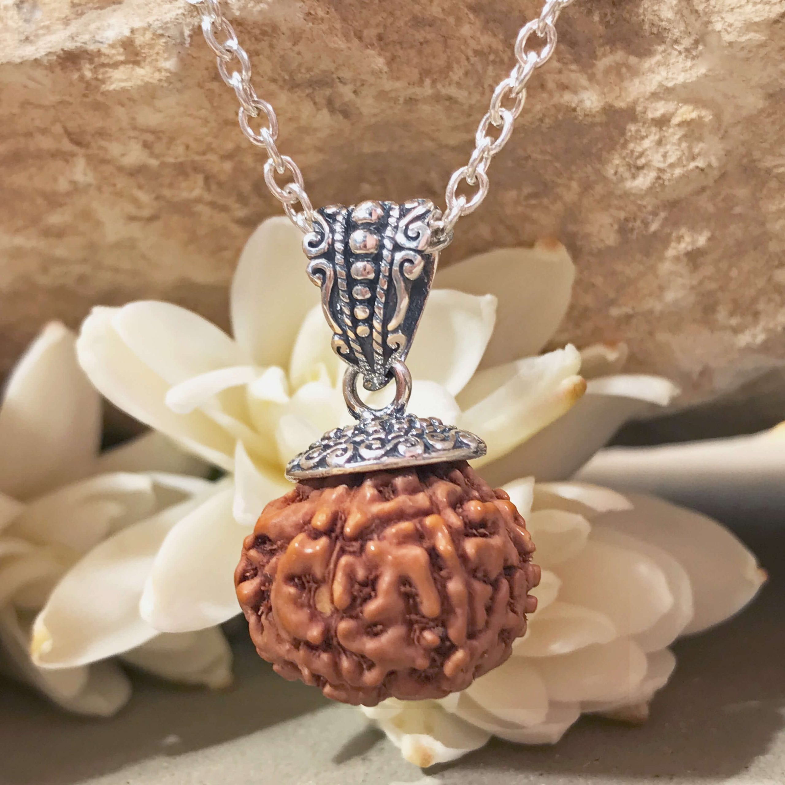 8 Mukhi silver 1