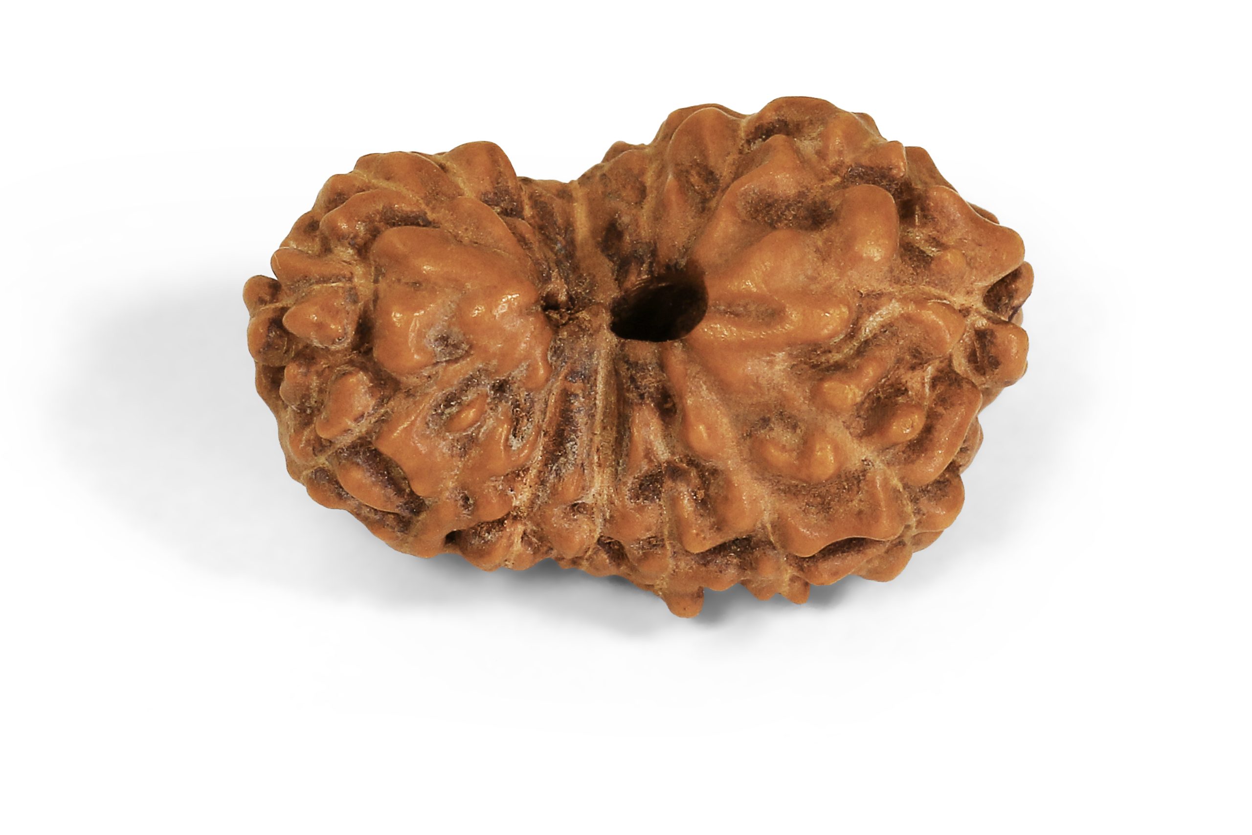 https://staging.shivaloka.co/wp-content/uploads/2025/04/13-Mukhi-bead-scaled.jpg
