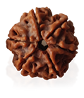 https://staging.shivaloka.co/wp-content/uploads/2025/04/menu-img-10-1.png